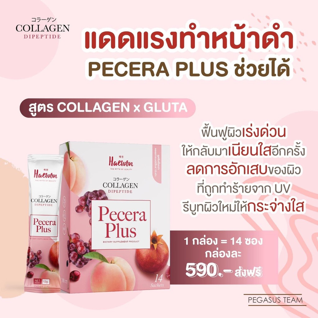 Haewon Pecera Collagen Plus