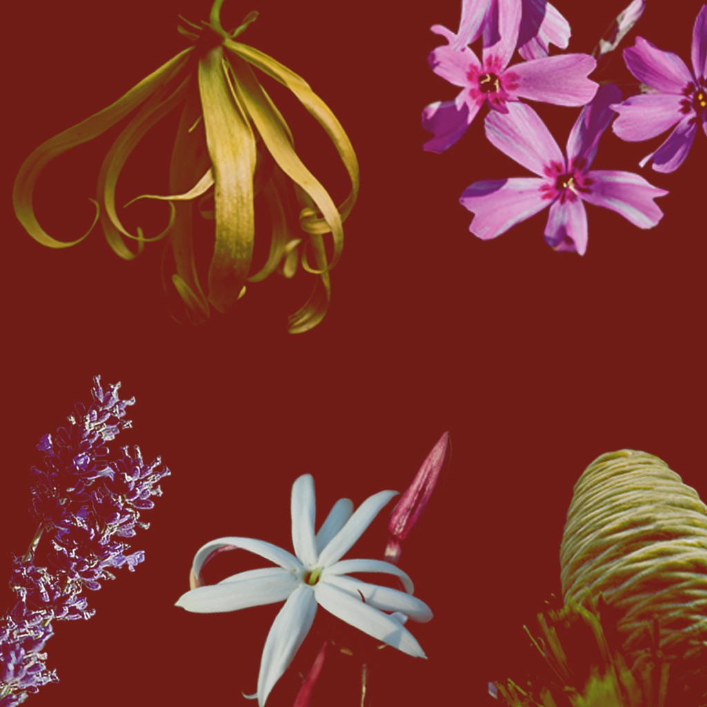 คามาคาเมต ก้านไม้หอมกระจายกลิ่น น้ำหอมบ้าน ก้านไม้หอม น้ำหอมปรับอากาศ KARMAKAMET Aromatherapy Room Perfume Diffuser #7