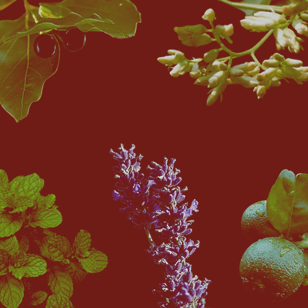 คามาคาเมต ก้านไม้หอมกระจายกลิ่น น้ำหอมบ้าน ก้านไม้หอม น้ำหอมปรับอากาศ KARMAKAMET Aromatherapy Room Perfume Diffuser #7