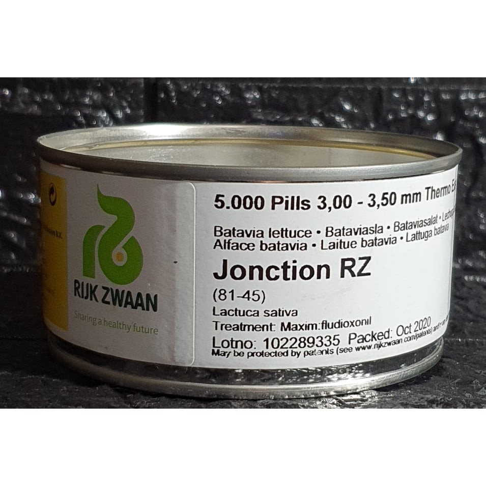 Lettuce Jonction Rz Pelleted Seeds By Rijk Zwaan Repacked Pcs