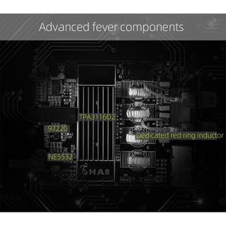 Kguss Ha Chip Tpa D High Power Digital Amplifier Fever Hifi Stereo