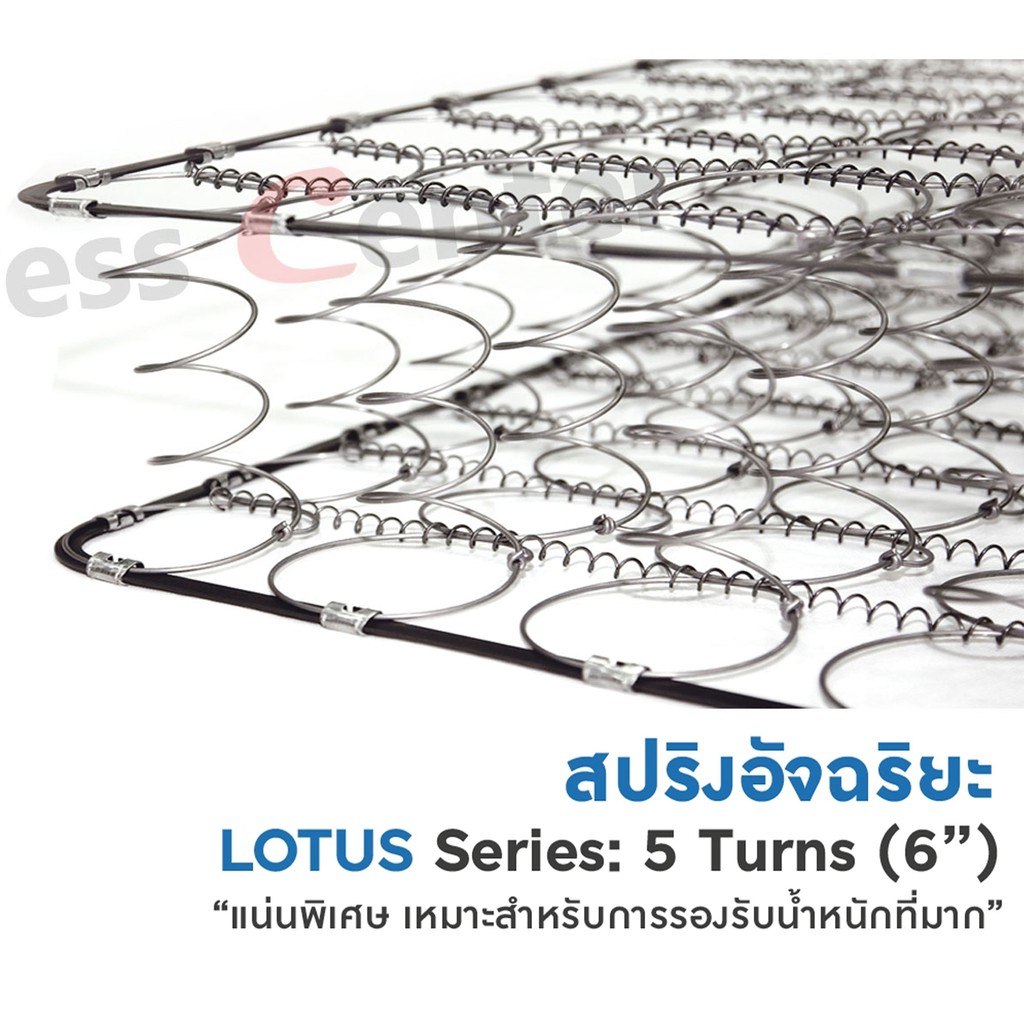 Dunlopillo Midas ที่นอนสปริง รุ่น Lamp หนา 9นิ้ว แถมฟรีหมอนหนุน+หมอนข้าง Warranty 10Y ส่งฟรี #8