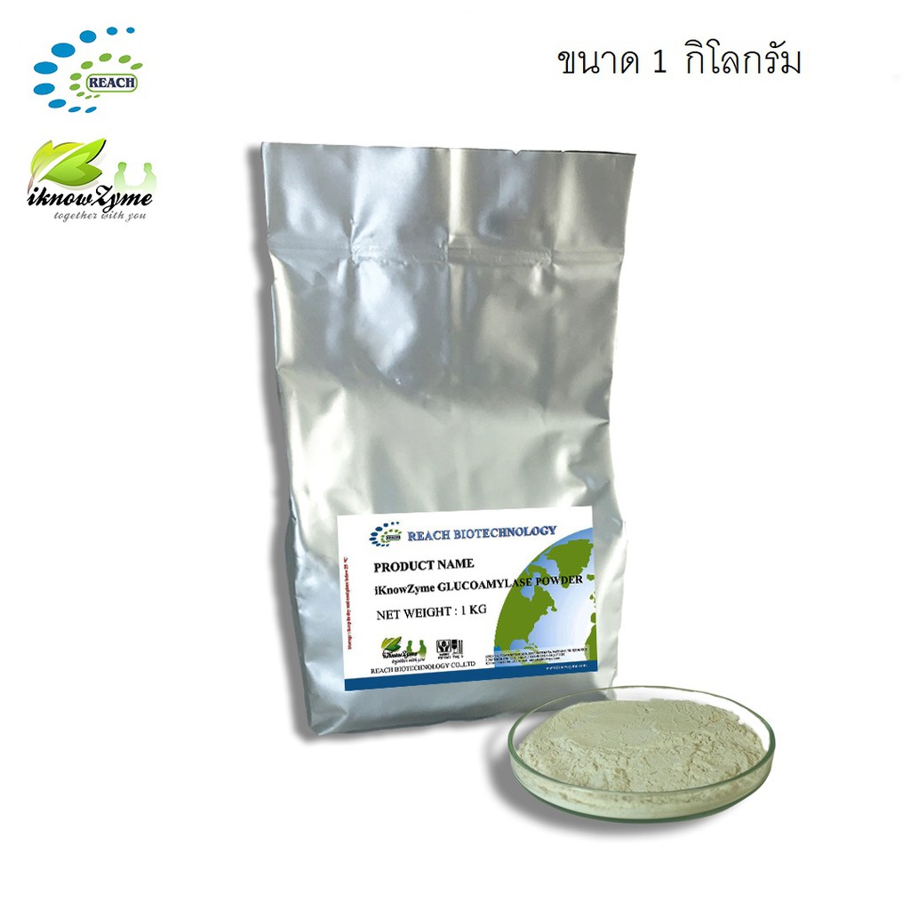 Iknowzyme Glucoamylase Powder