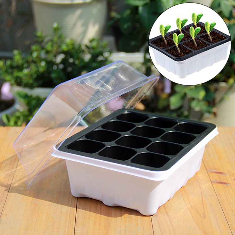 Bean Sprouts Growing Tray With Shading Cover Seed Seedling Starter Dish