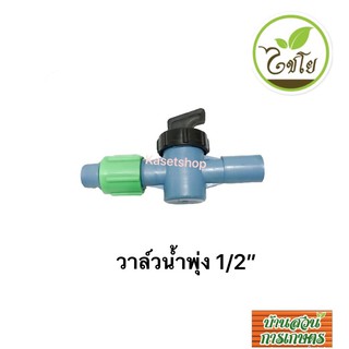 วาล์วน้ำพุ่ง 1/2” สวมอุปกรณ์pvc ตราไชโย