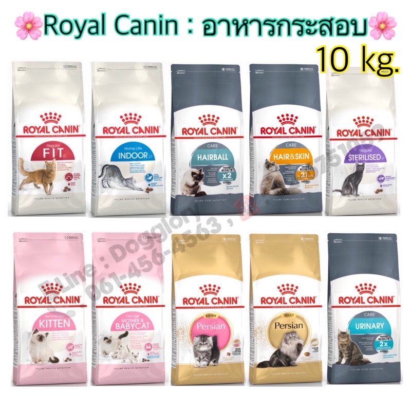 Royal Canin อาหารเม็ดแมว 10 kg  10 กก indoor fit Maine coon เมนคูน Hairball hair&amp;skin Persia kitten 10kg