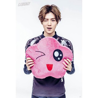 โปสเตอร์ รูปถ่าย บอยแบนด์ เกาหลี EXO 엑소 Lu Han 鹿晗 POSTER 24"x35" Inch Korea Boy Band K-pop Hip Hop R&amp;B