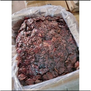 ปลาหมึกปีกหวาน ใหม่ๆ ราคาถูกที่สุด  ขนาด 1กก.