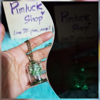 พร้อมส่ง จี้พร้อมสร้อยดอกไม้ในขวดแก้วเรืองแสงอ่อนน่ารักกรุบกริบGlass Bottle Pendant