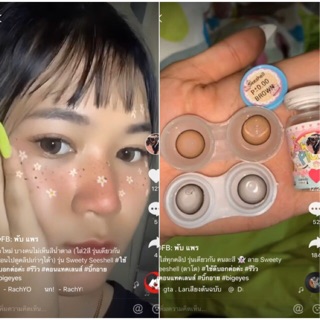 Seeshall / Seeshell Gray Brown บิ๊กอาย ลายฮิตใน tiktok ลายตามหา bigeye เทา น้ำตาล สีเทา สีน้ำตาล Pitchy Wink Contactlens