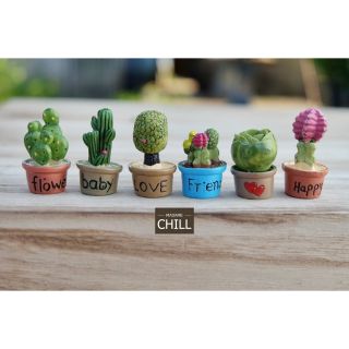 [MC319] ตุ๊กตุ่นจิ๋ว ต้นกระบองเพชร 9 ต้น 🌵(1 ต้น ราคา 20 บาท)