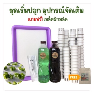 ็HYDRO101 รวมอุปกรณ์เริ่มต้นปลูกผักไฮโดรโปนิกส์ จัดเต็ม สำหรับมือใหม่ แถมเมล็ด