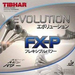 ยางปิงปอง Tibhar evolution FXP ฟองน้ำMAX