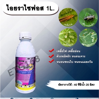 ไอยราไซฟอส 1L. ไซเพอร์เมทริน + โพรฟีโนฟอส สารกำจัดแมลง สารกำจัดหนอน เพลี้ยไฟ เพลี้ยอ่อน ด้วงหมัดผัก หนอนชอนใบ หนอนเจาะ