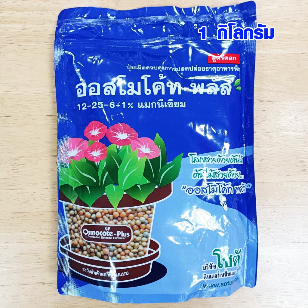 ปุ๋ย ออสโมโค้ท พลัส 1 กิโลกรัม สูตร 12-25-6 ปุ๋ยละลายช้า พืชได้รับปุ๋ยต่อเนื่องนาน 6 เดือน ของแท้ ปุ๋ยอย่างดี JG
