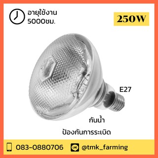 [10หลอด]หลอดไฟอินฟาเรด กกสัตว์เลี้ยง 250วัตต์ สีขาว E27 หลอดไฟให้ความอบอุ่น infrared bulb 250w