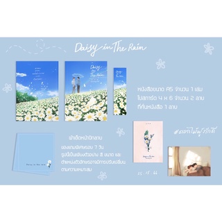 [พร้อมส่ง] Daisy in the rain #ดอกไม้ผู้ภักดี รอบ7วัน/รอบปกติ