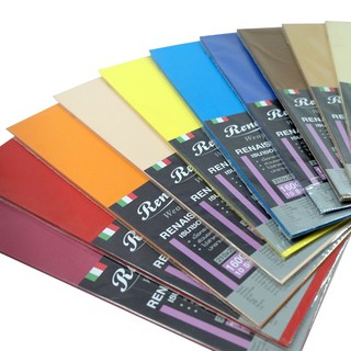 กระดาษวาดสี 100 ปอนด์ 160 แกรม ตรา Renaissance แพ็ค10แผ่น Coloured Paper A4