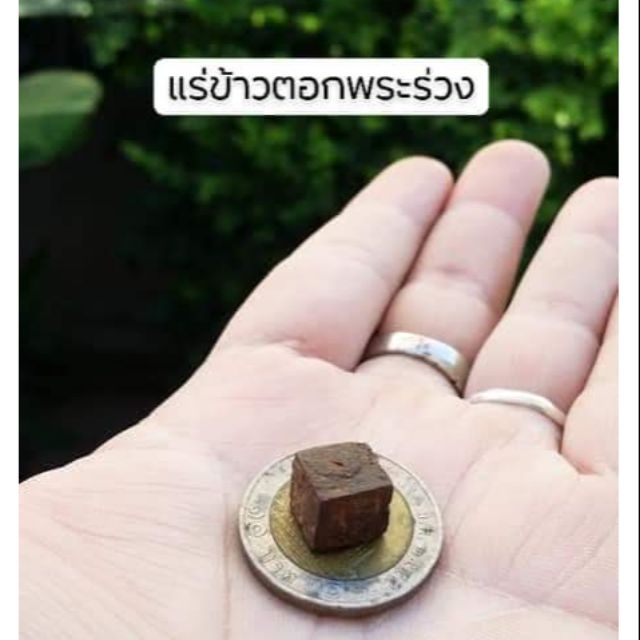 แร่ข้าวตอกพระร่วง อายุหลายพันปี หลวงพ่อฤาษีลิงดำ วัดท่าซุง แจกในงานประจำปีตอนท่านยังทรงสังขารอยู่