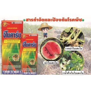 จีโมคาร์บ กรีนแลนด์ รักษาโรคเน่า รากเน่า โคนเน่า โรคเชื้อรา ในข้าว ในผลไม้