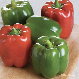 อินทรีย์ ต้น ดอก/เมล็ดพริกหวานยักษ์ 350เมล็ด    Bell Pepper   เมล็ดนำเข้า  พันธุ์แท้100%  สายพันธุ์ OP  PP-902-01 BAWN