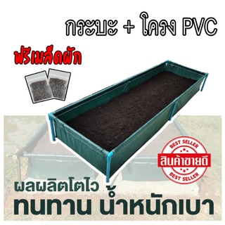 (ร้านแรกมีร้านเดียว)กะบะปลูกผัก กระบะปลูกผัก พร้อมโครง PVC 1 นิ้ว ขนาด 60x200x30 cm (ของแท้)"