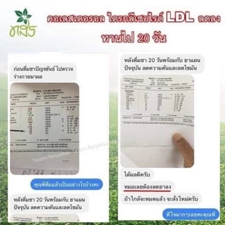ลดความดันสูง เบาหวาน ไขมันในเลือดสูง ชาทสร ชาปัญจขันธ์ เจียวกู่หลาน ชาทสร 1 กล่อง
