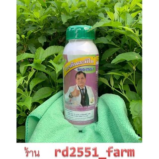 RD2551 สารเสริมพืชชนิดโปรตีนอะมิโน 500 ml