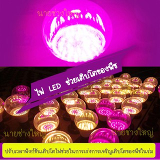 เติมแสงการเจริญเติบโตของพืชแสงเต็มสเปกตรัม LED 12W .ดอกไม้และการเจริญเติบโตของผัก พร้อมส่ง