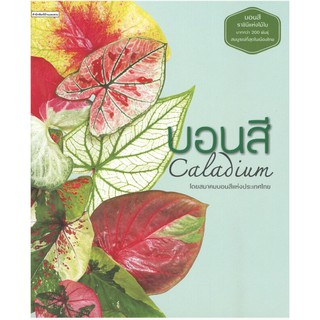 บอนสี : Caladium (ปกแข็ง)