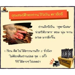 🔥พร้อมส่ง🔥 [8 ก้อน 5 แพค] ถ่านปิ้งย่างไร้ควัน คิงบี ถ่านไบโอนิค KINGBE