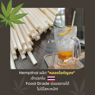 Hempthai หลอดกัญชง ธรรมชาติ 100 % 50ชิ้น/แพ็ค หลอดย่อยสลาย