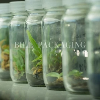 (แพ็ค10ใบ) ขวดเพาะเลี้ยงเนื้อเยื่อพร้อมฝา 120ml.และ 240ml. (Tissue Culture Bottle)(2ขนาด) [รหัสขวด:TG48.TG71]