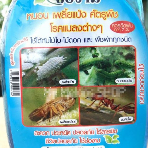 สเปรย์​ช่องามสตรกำจัดหนอน เพลี้ยแป้ง ศัตรูพืช แมลงต่างๆ สเปรย์พร้อมใช้ 500 ml​ **แถมหัวเชื้ออีก1ขวด**​ - รูปที่ 2