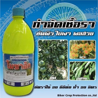 โมซาอิก เฮกซะโคนาโซล (ชื่อเดิม คอนเนคโซน)