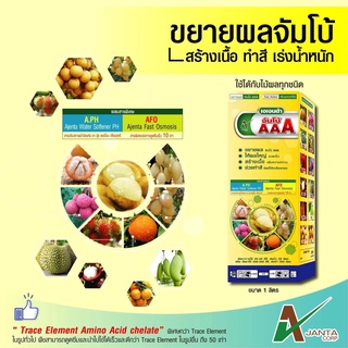 ขยายผลใหญ่ จัมโบ้ AAA เอเจนต้า เพิ่มน้ำหนัก เร่งสี ทรงสวย ขยายขนาดผล ผลใหญ่สม่ำเสมอ (ขนาด 1 ลิตร)