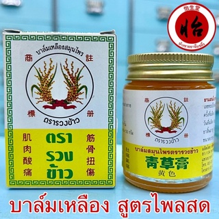 บาล์มเหลืองสมุนไพร ตรารวงข้าว สูตรไพลสด 30 กรัม (青草藥膏 按摩膏) (EXP 06/03/2026) ยาหม่องไพลสด ยาหม่องตรารวงข้าว