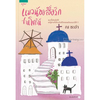 แมวน้อยสื่อรักซานโตรินี