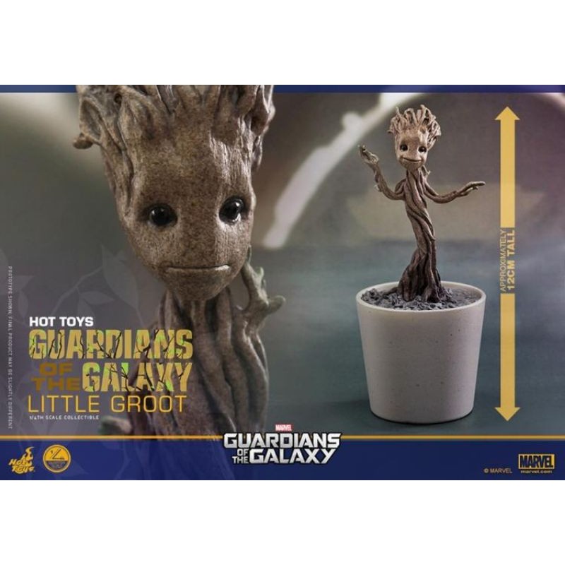Hot Toys Guardians of the Galaxy Little Groot 1/4 Collectible Figure กระถางต้นไม้ Baby Groot ของแท้!