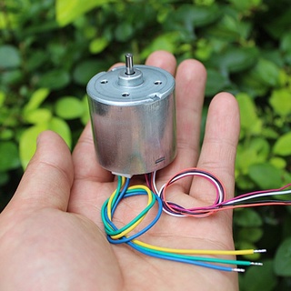 micro 10W DC12V 1A Micro Electric Brushless Motor High Speed Small Motor with Hall 6-12V 6000-12000rpm High Quality Long