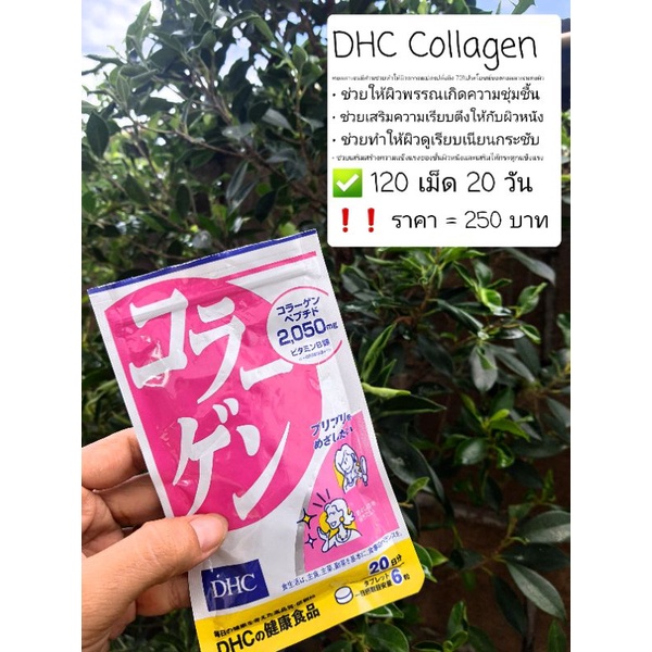 DHC Collagen✅ 120 เม็ด 20 วัน