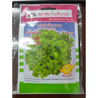 ผักกาดหอม ศรีทอง 2กรัม ตะวันต้นกล้า