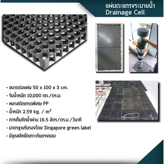 แผ่นตะแกรงระบายน้ำ Drainage Cell