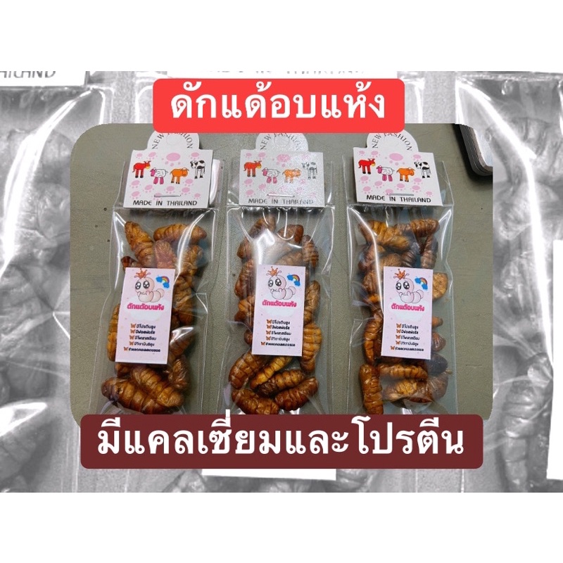 ดักแด้อบแห้งโปรตีนสูงขนาดทดลอง