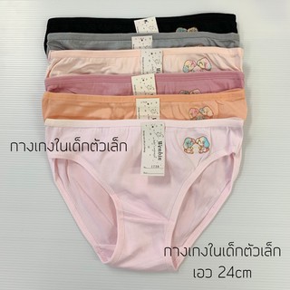 กางเกงในเด็กเล็ก แพ็ค10ตัว69฿ คละสี