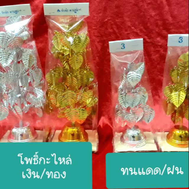 โพธิ์กะไหล่เงิน/ทอง*ถูกสุด*ขนาด 7 ชั้น..แบบสวยใบใหญ่ (ทนแดด/ฝน)ราคา/คู่