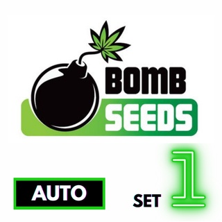 🔥Preorder🔥เมล็ดค่าย🌱Bomb Seeds🌱Auto⭐️ส่งฟรี🚨มีปลายทาง ส่งตรงจากนอกแท้100%⭐️ยกแพค/แยกเมล็ด⭐️อย่าเสี่ยงกับเมล็ดไม่มีที่มา#1