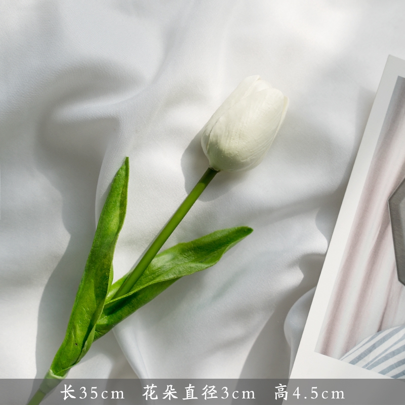 ดอกทิวลิป สำหรับพร็อพถ่ายรูป 1 ดอก - รูปที่ 5