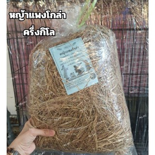 หญ้าแพงโกล่าไร้ฝุ่น หญ้าแพงโกล่าแห้ง หญ้าใหม่ หญ้าสำหรับสัตว์ฟันแทะกิน แทะเล่น และทำรัง (ถุงเล็กครึ่งกิโล)