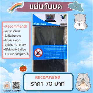 แผ่นกันมด อุปกรณ์สัตว์เลี้ยง